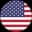 USA Logo