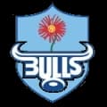 Bulls Logo