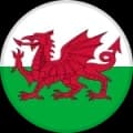 Wales Logo