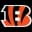 Cincinnati Bengals Live