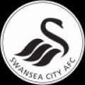 Swansea City Live
