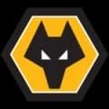 Wolves Live
